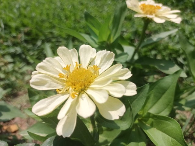 photo_2023-05-08_23-18-44 (2).jpg