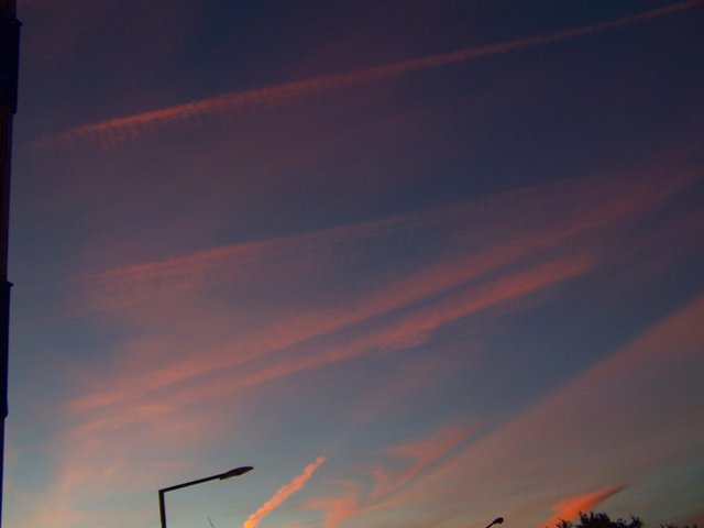 100_2103 2212 steemit.JPG