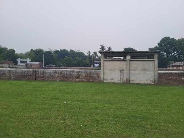 20250422_174638.jpg