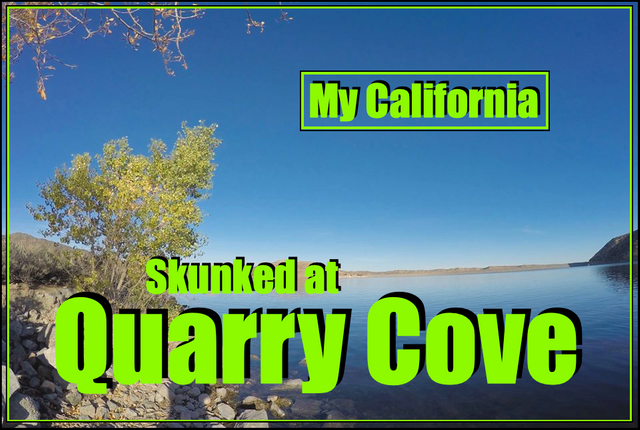 Quarry cove cover.png