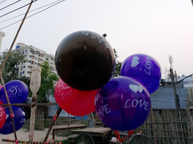 1000035002.jpg