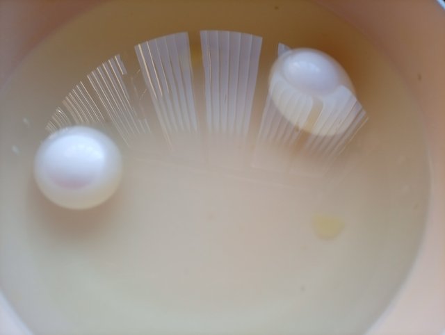 1000052004.jpg