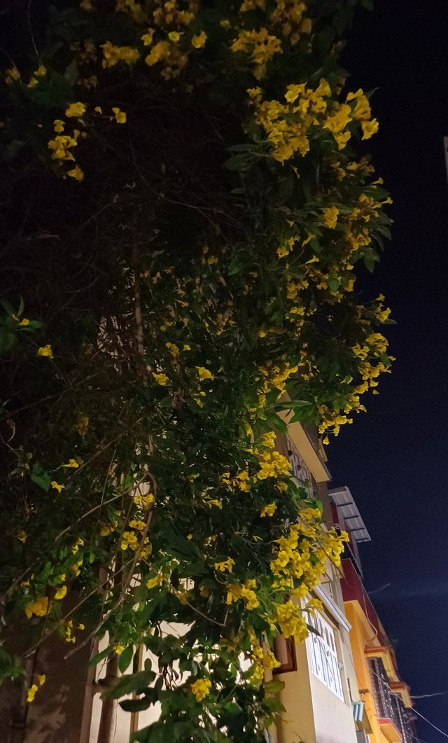 20250514_220638.jpg