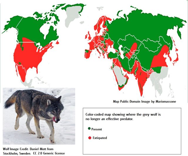 Grey wolf3 distribution_with_subdivisions Mariomassone public.jpg