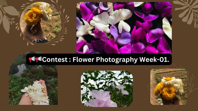 📢📢Contest  Flower Photography Week-01..png