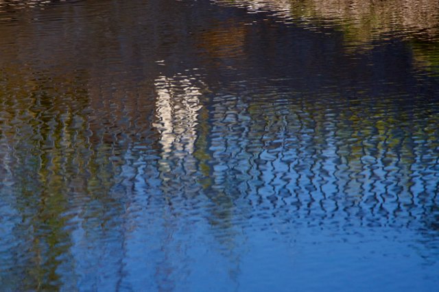 DSC01520.jpeg