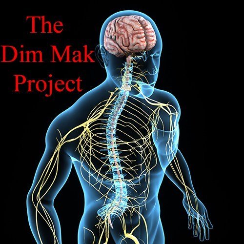 DimMakProject.jpg