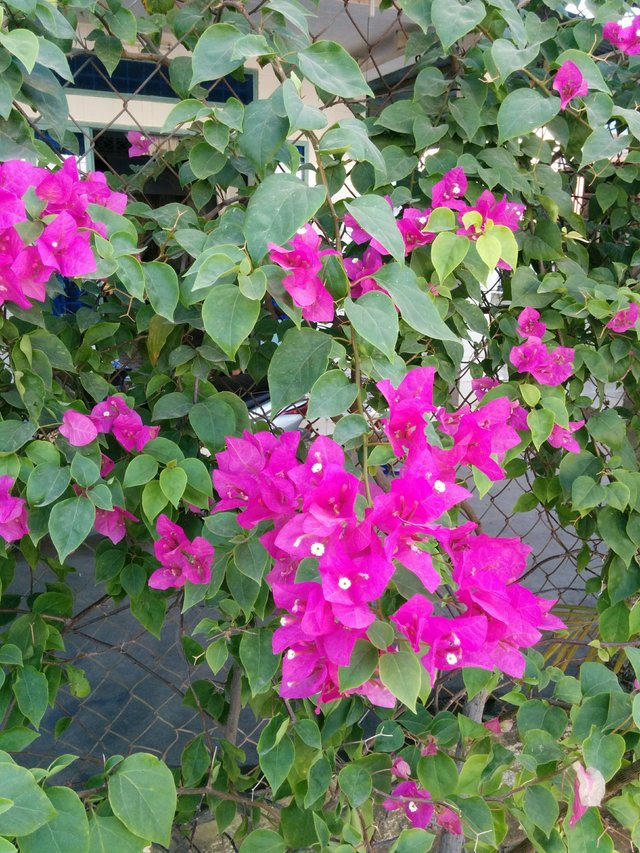 IMG_20160101_163006.jpg