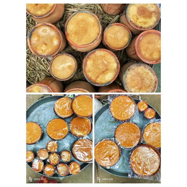 PhotoCollage_1747065286133.jpg