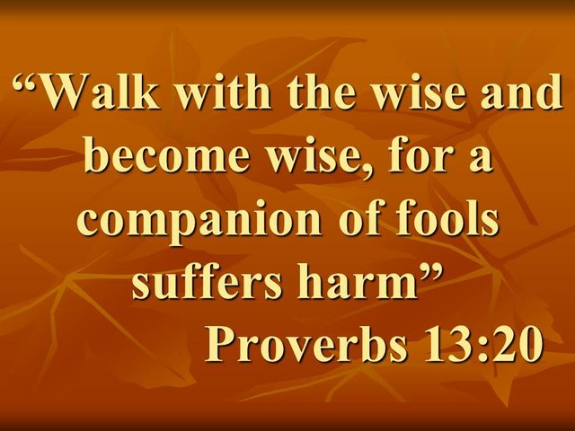 Know the bible. Walk with the wise and become wise, for a companion of fools suffers harm. Proverbs 13,20.jpg