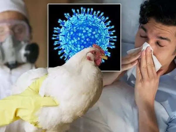 bird-flu-two-new-cases-detected-in-poultry-workers-after-contract-with-infected-birds-details-here.jpg