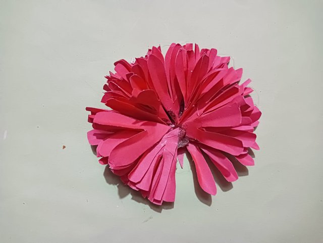 IMG-20250408.jpg