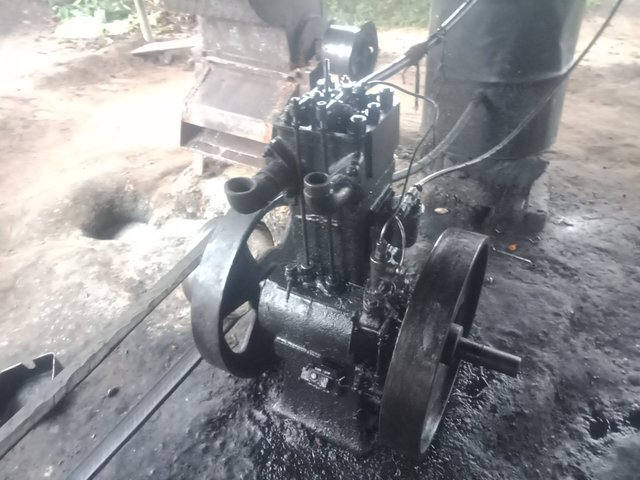 IMG20250727140417.jpg