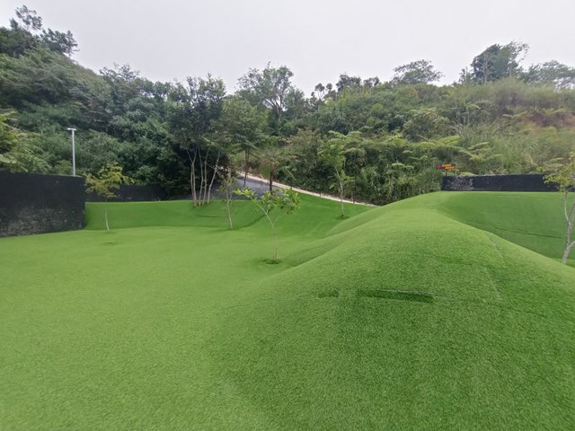 IMG20250603133704.jpg