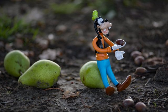 disney-3761359_1280.jpg