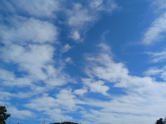 1739021519766.jpg