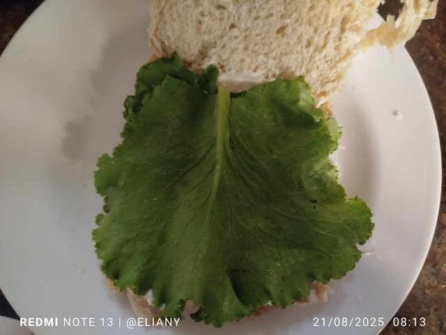 1000562635.jpg