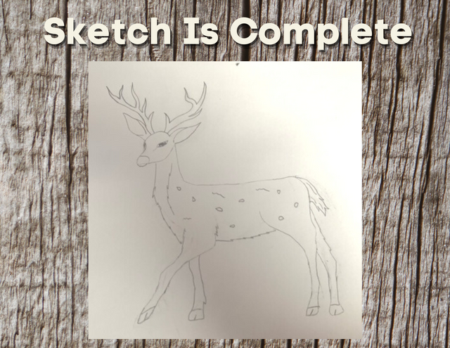 Draw Deer.png