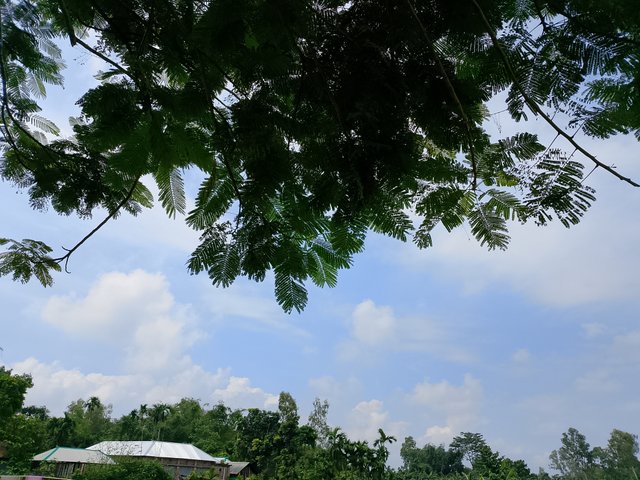 1000047514.jpg