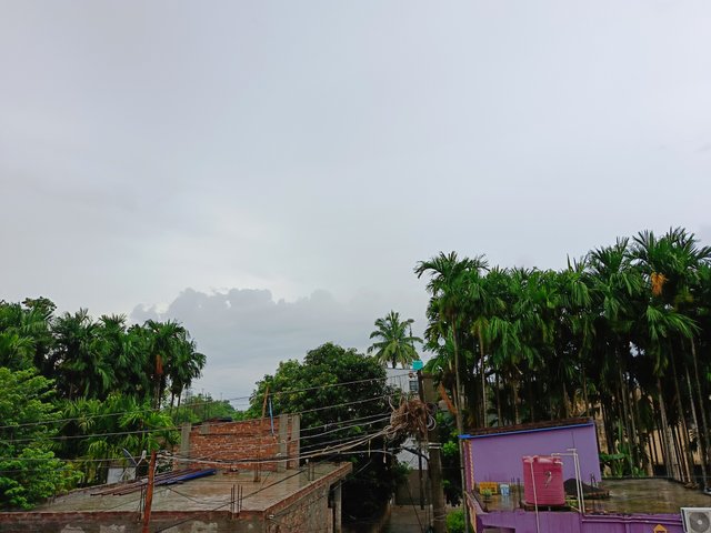 1000044570.jpg