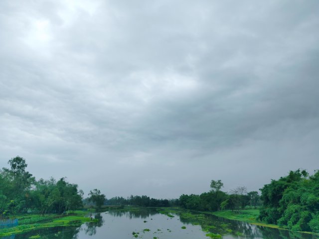 1000084357.jpg