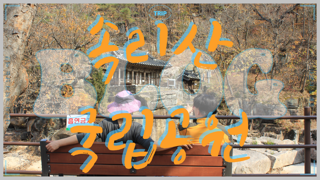 화양구곡 속리산국립공원 나만의트래블.png