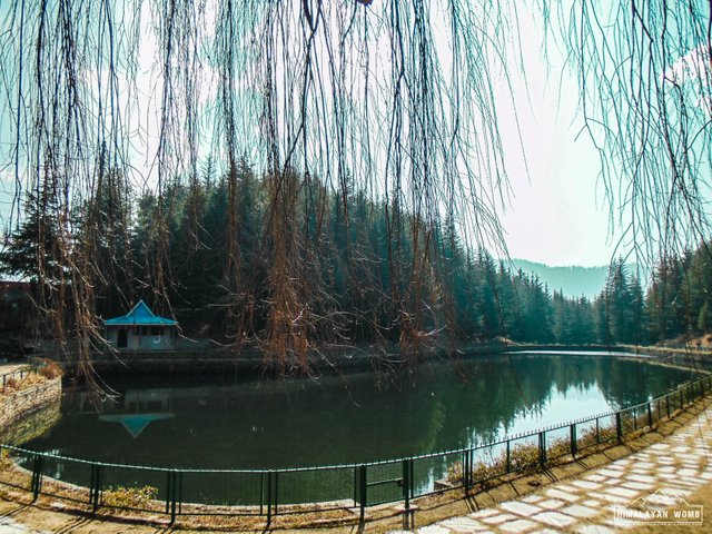 Tanijubbar lake.JPG