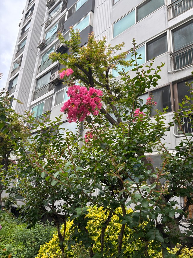 IMG_6833.jpeg