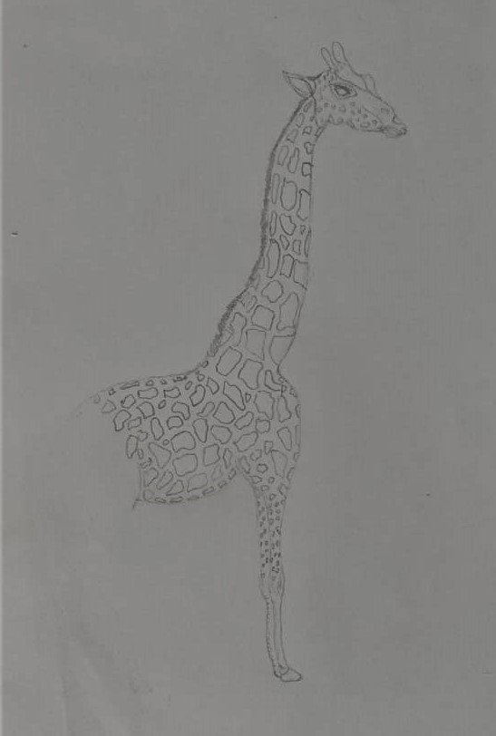 WhatsApp Image 2023-08-16 at 22.33.53 (3).jpg