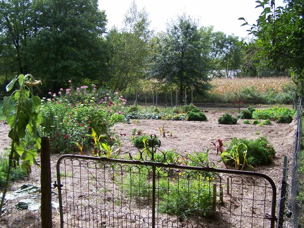 Big garden - finished looking south crop Sept. 2018.jpg