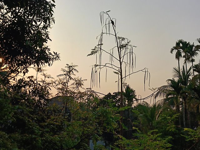 1000035190.jpg