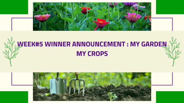 Contest my garden & ceops(4).png