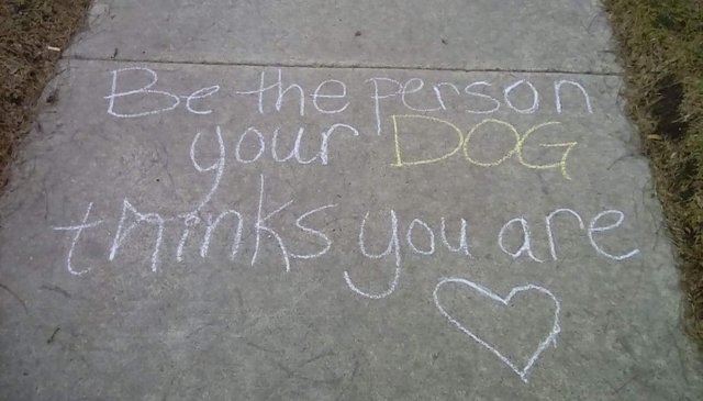 be the person your dog.jpg