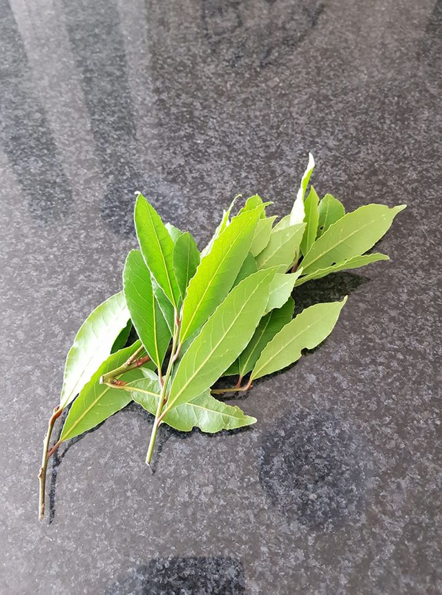 bay leaves on counter.png