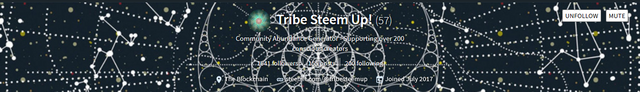 Screenshot_2018-10-22  tribesteemup.png