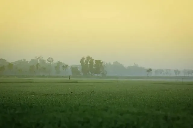 Bangladesh-morning.webp