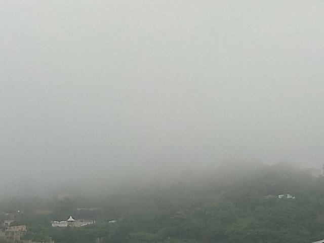 FotoGrid_20250803_113517472.jpg