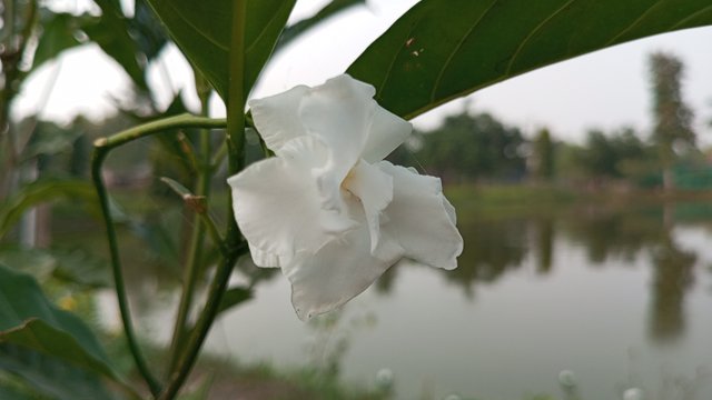 IMG_20231121_151939_8.jpg