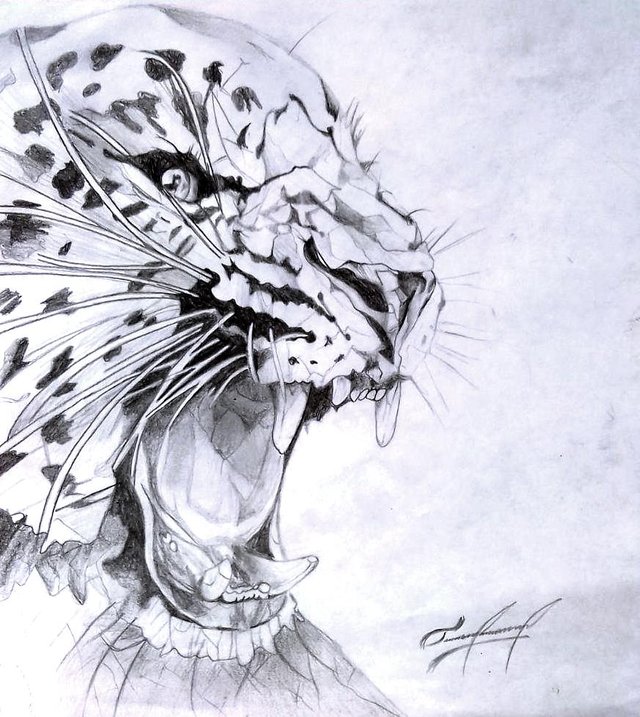 Jaguar Animal Drawing