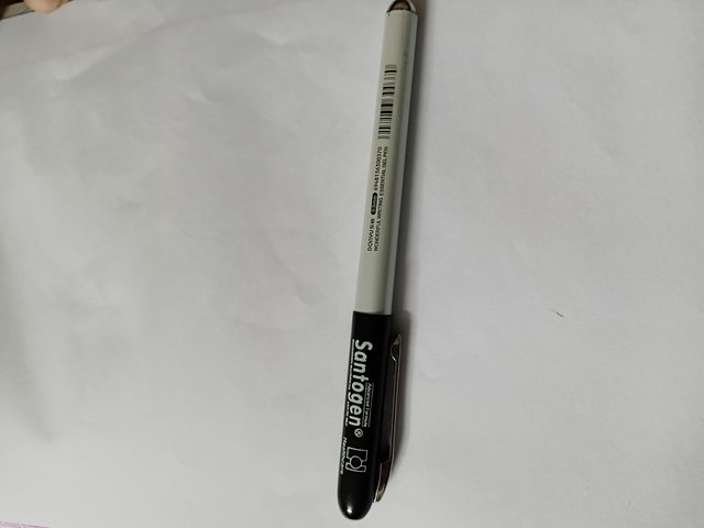 3171.jpg