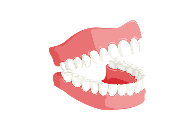 teeth-3414722_960_720.png