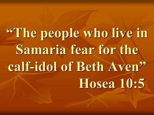 The heresy of idolatry. The people who live in Samaria fear for the calf-idol of Beth Aven. Hosea 10,5.jpg