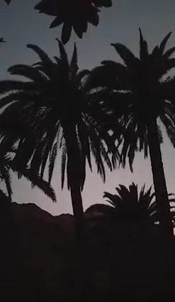 Screenshot_2020-03-14 14 03 2020 ausnahmezustand - corona- la gomera-VGR- - YouTube(2).png