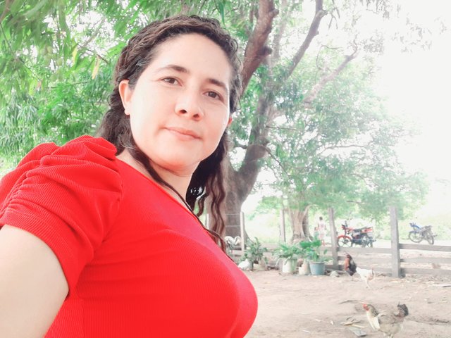 20250419_135146.jpg