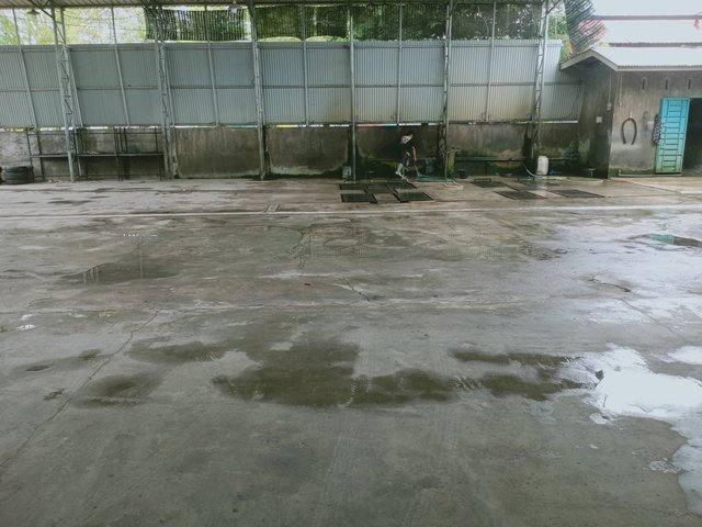 IMG20250309084926.jpg