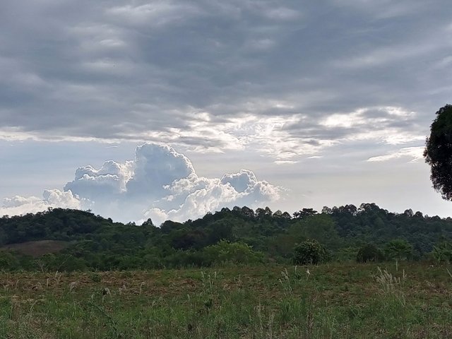 IMG_20230802_153647_029.jpg