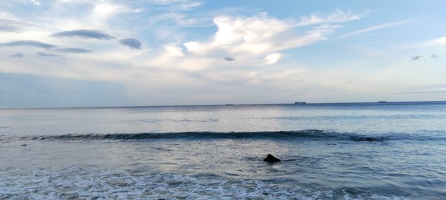 IMG_20240623_180827.jpg