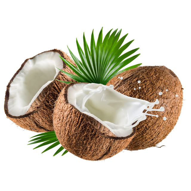 Unbelievable Health Benefits of Coconut.png