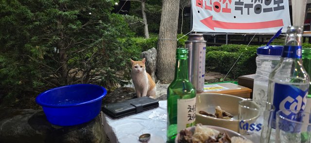 KakaoTalk_20250726_192157892_01.jpg