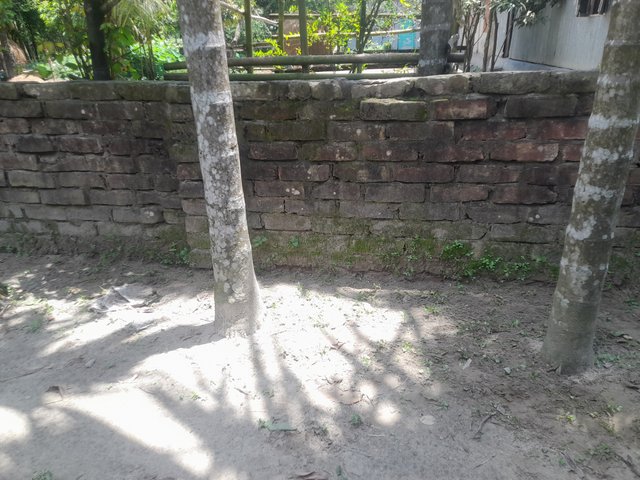 1000125776.jpg